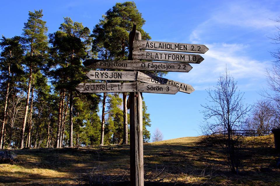 hiking trail sweden forest nature directions walking