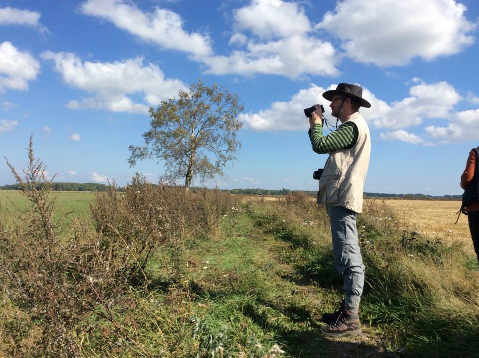 Tips Things To Do In Southern Sweden bird watching