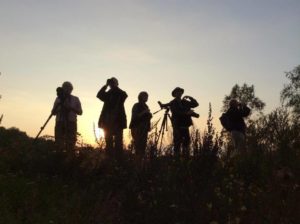 Dalsland sweden hike sunset forest attraction