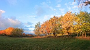 nature reserves national parks sweden