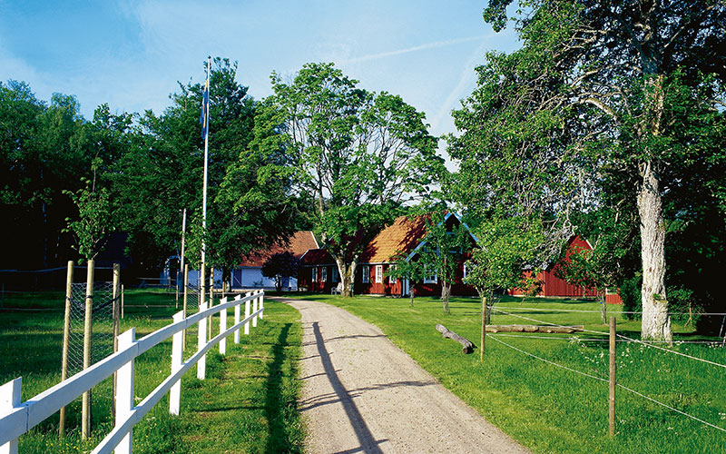 Söderåsens Forsgård: Accessible Comfort in Nature