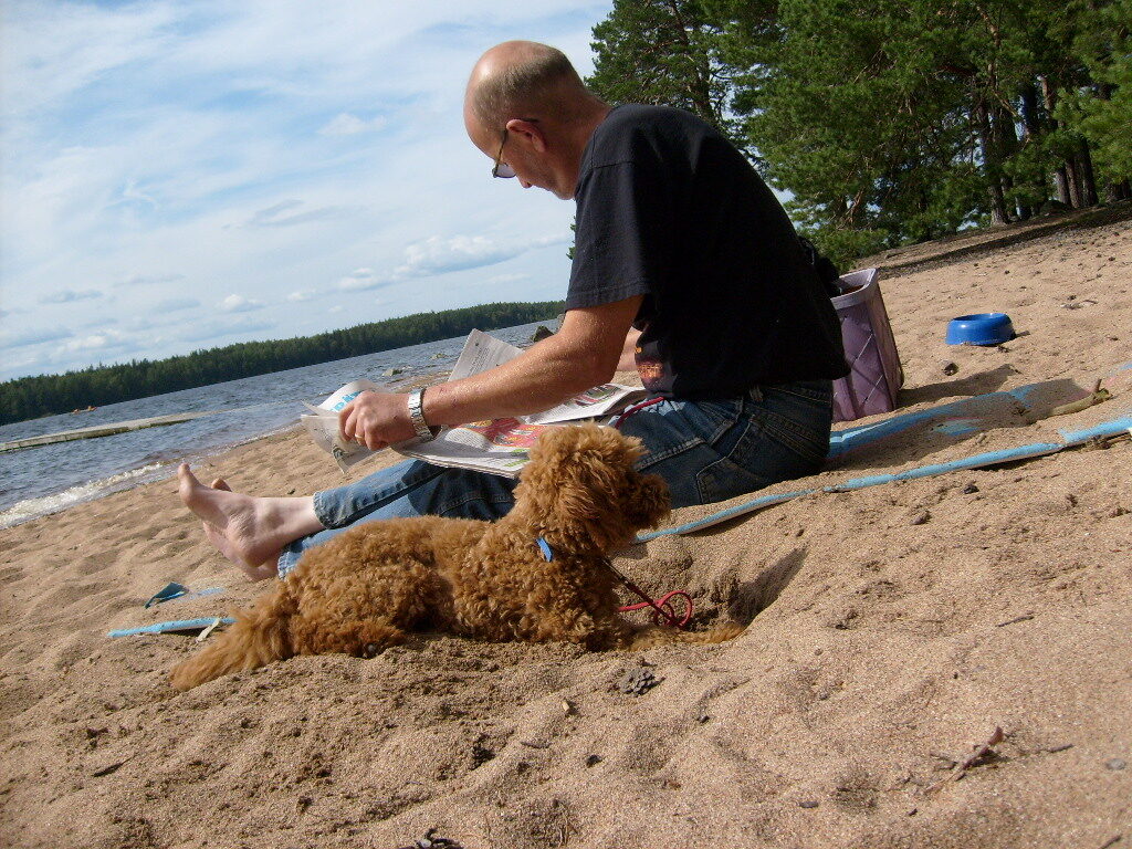 What are Swedish people known for traits and habits dog man beach reading