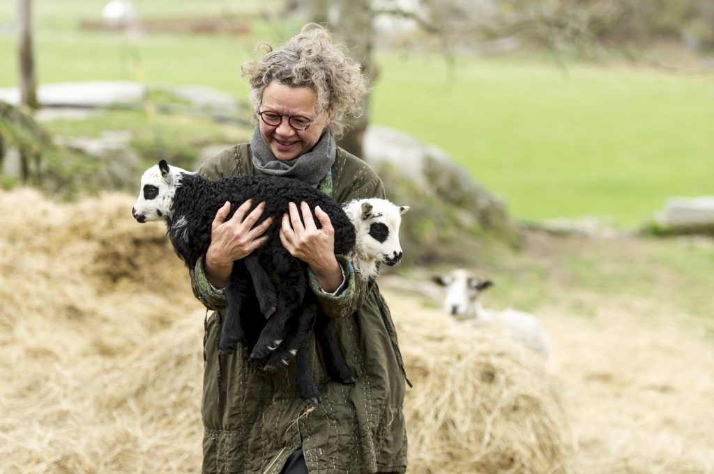 woman lamb young holding rural sweden