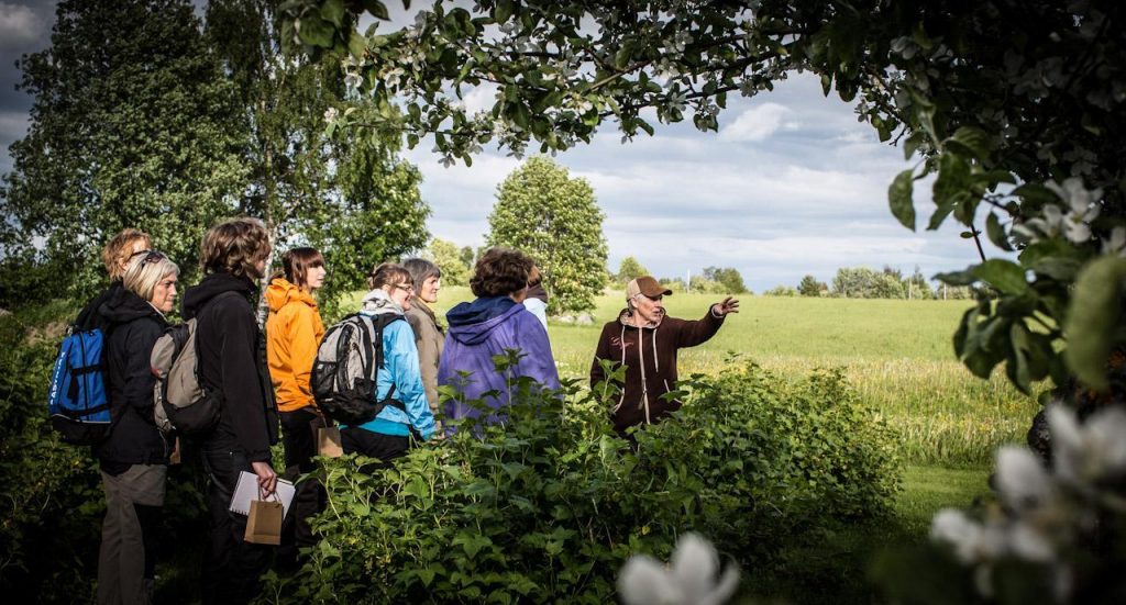 Adventures for Seniors hiking walking