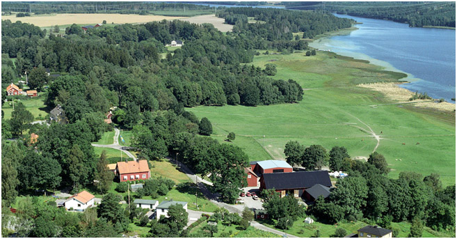 sheep farm sweden horse carriage rides 