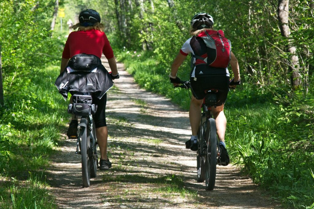 cycling biking forest nature woodland sweden