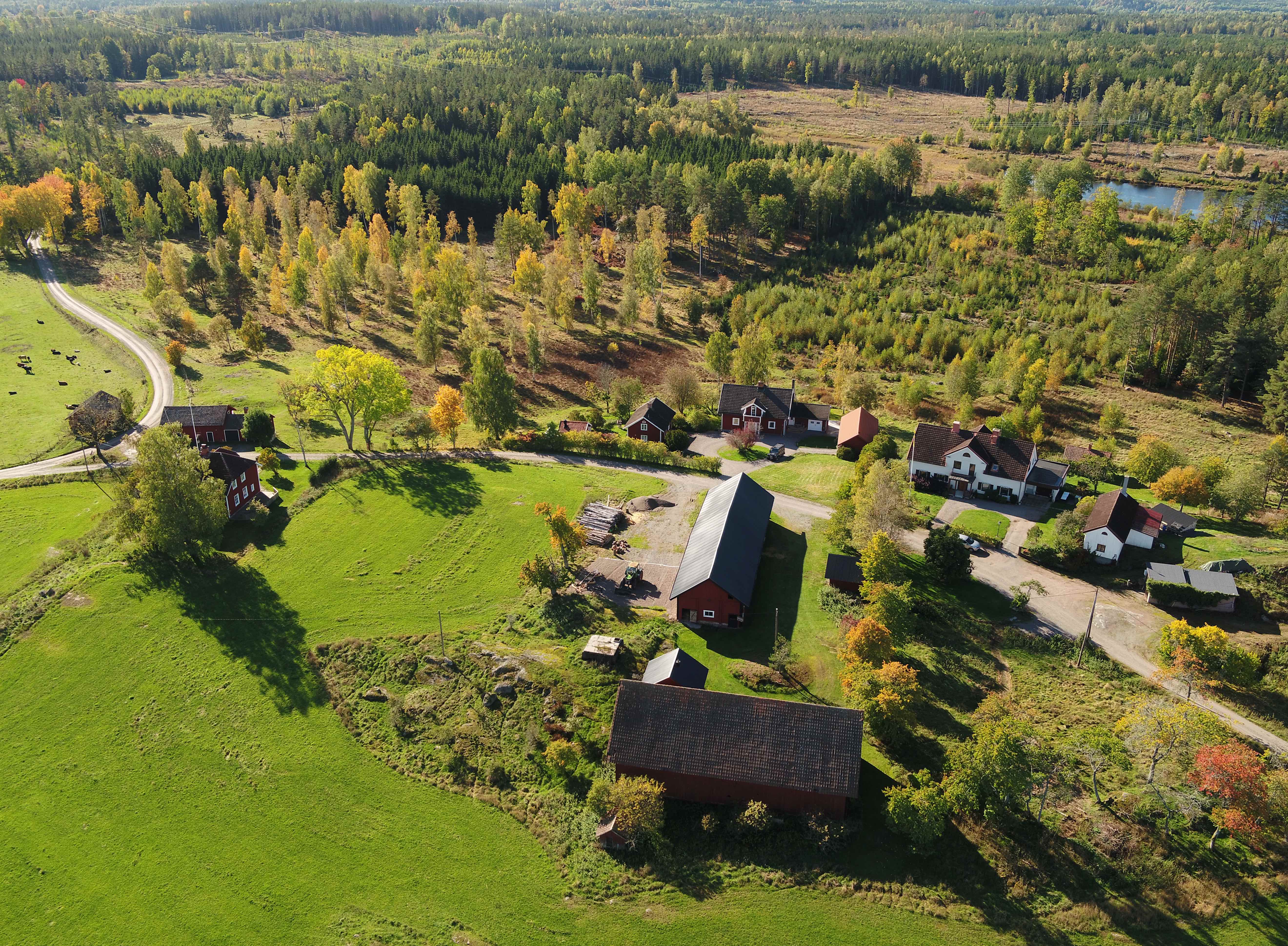 Stockholm countryside