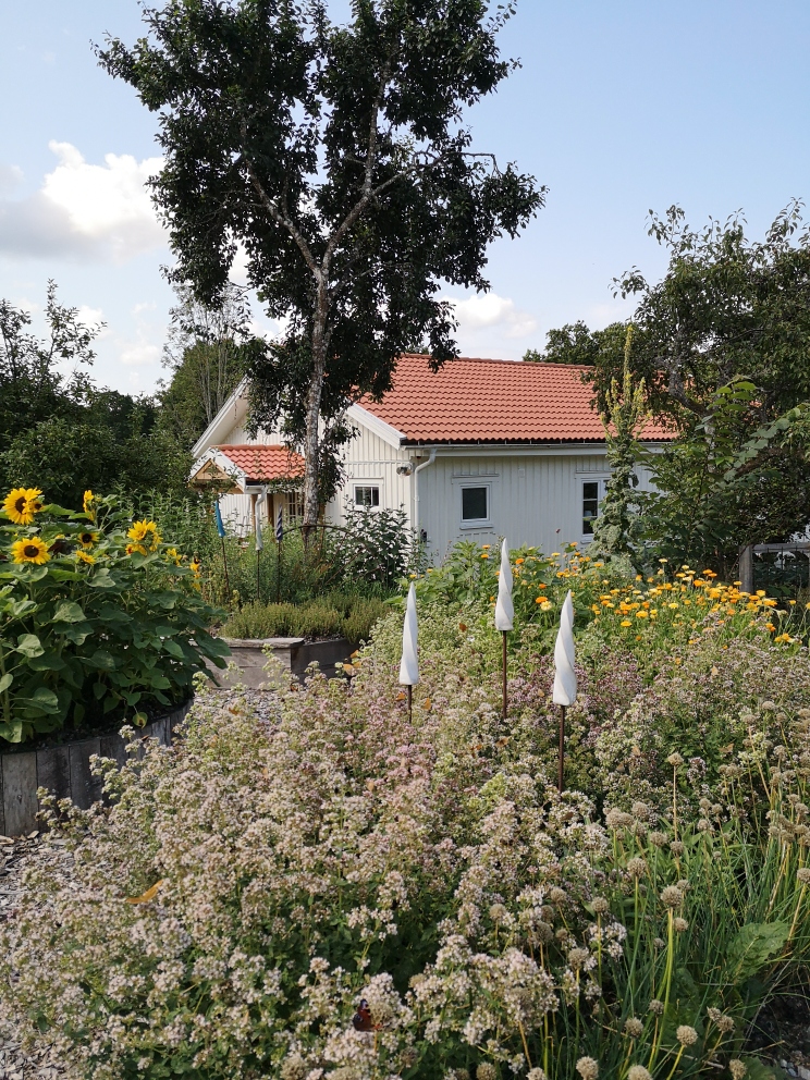 Bottnansmåla Gård: Experience the Swedish Winter Garden