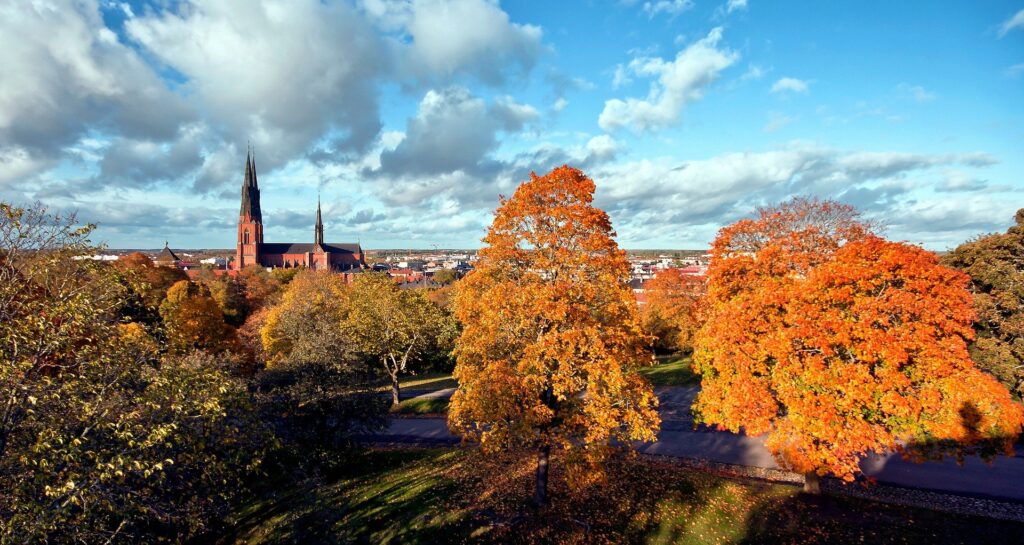 Uppland uppsala rural sweden autumn fall church 