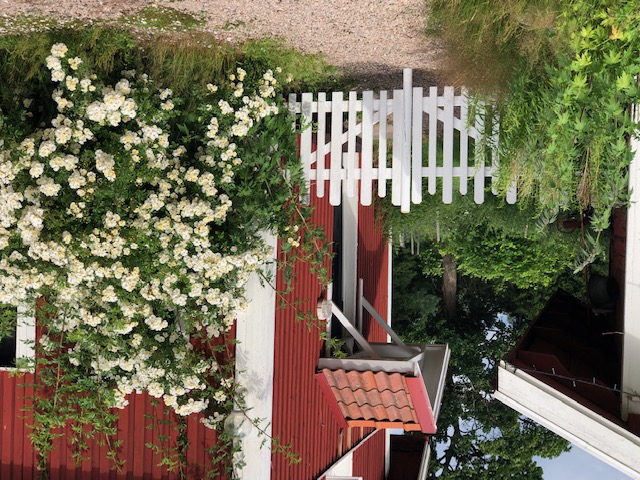 Hedås Gård: Organic Farmstay by Klarälven