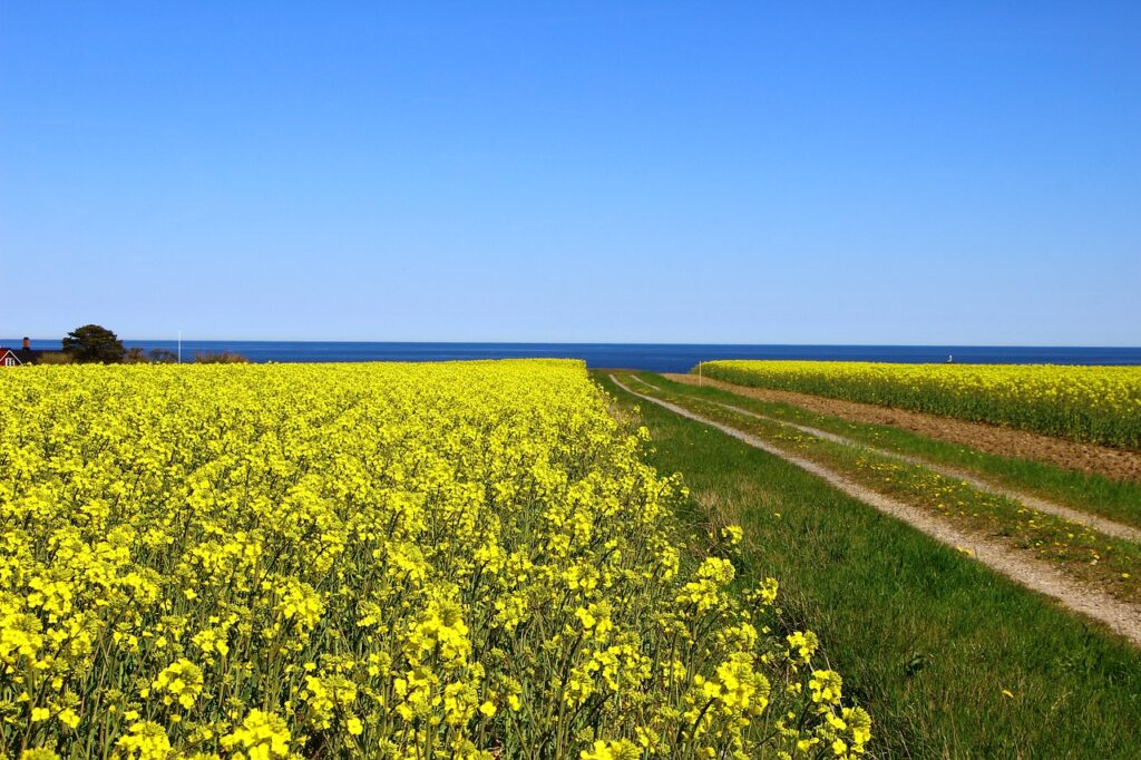 most beautiful spots in sweden österlen