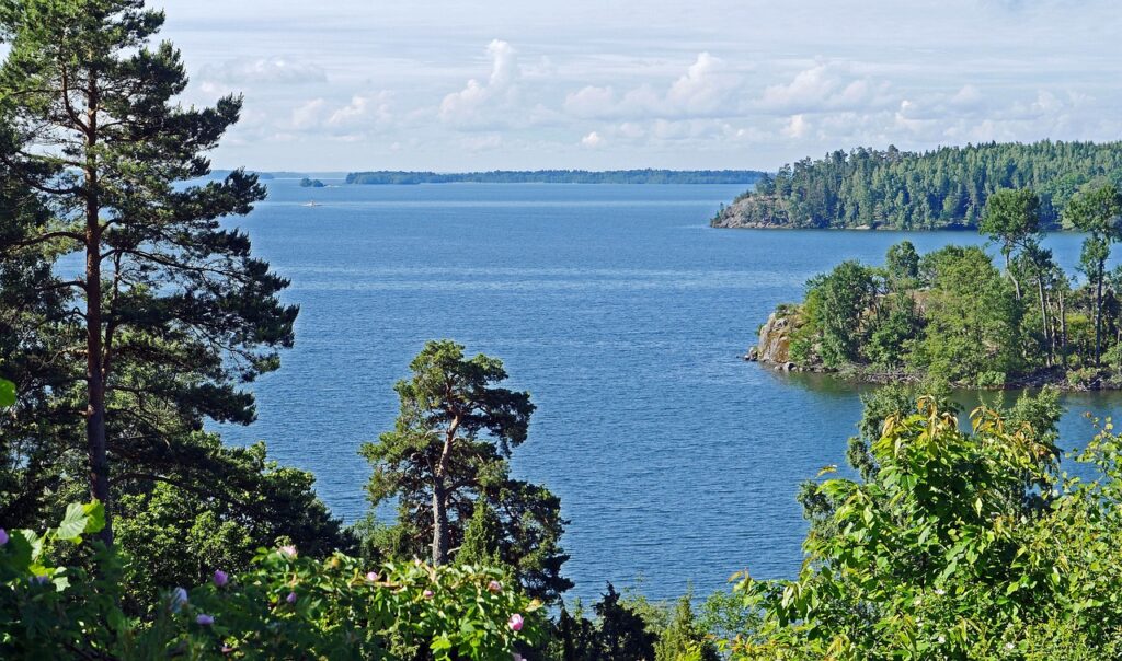 Mälaren lake fishing anglers nature sweden