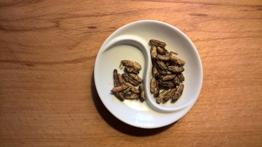 disgusting food bugs plate museum sweden 